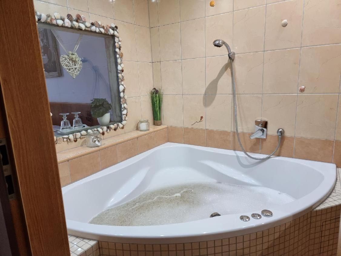 Hotel Pansky Dum Blovice Bagian luar foto